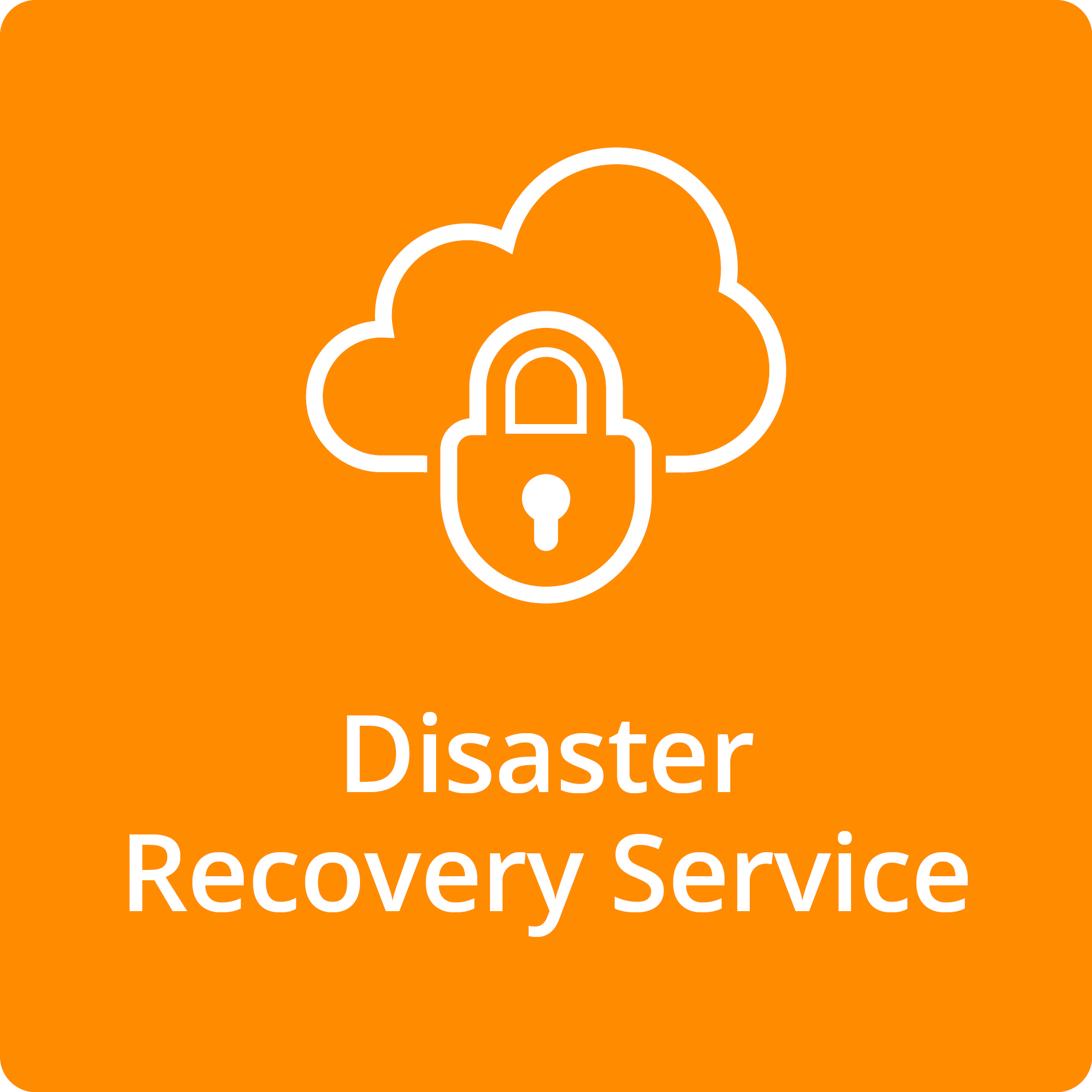 Disaster Recovery Service