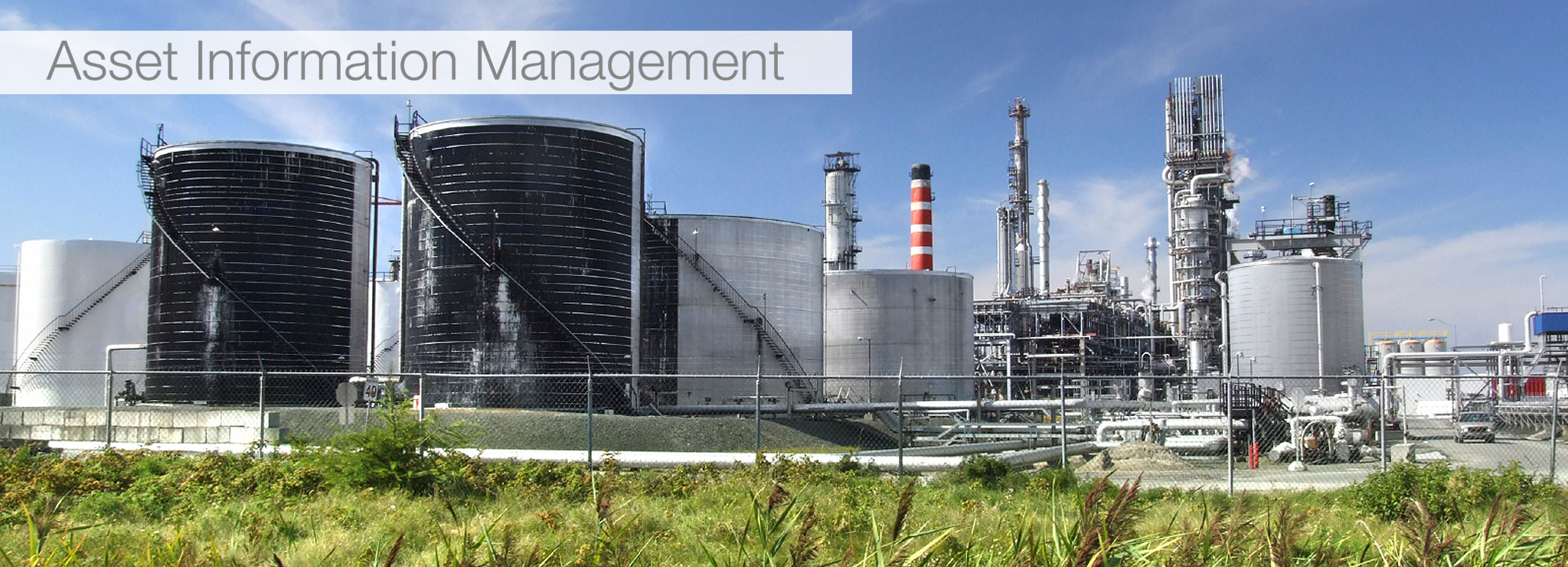 Software für Asset Information Management 