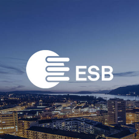 Kundenreferenz Energieversorger ESB