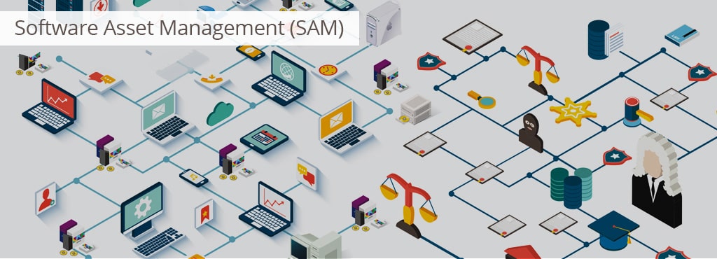 Software Asset Management